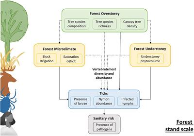 Forest Diversity Reduces the Prevalence of Pathogens Transmitted by the Tick Ixodes ricinus